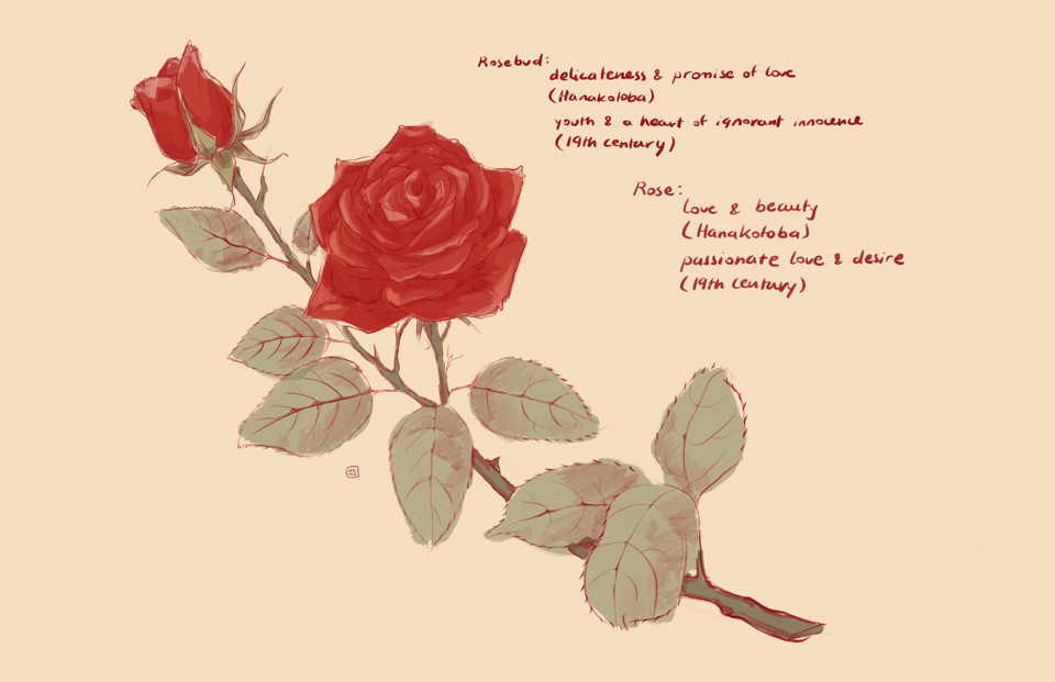 An illustration of a rose and a rosebud with their meanings in Hanokotoba and 19th-century Victorian flower language. Rosebud means delicateness and promise of love in Hanokotoba, and youth and a heart of ignorant innocence in Victorian flower language. Rose means love and beauty in Hanokotoba, and passionate love and desire in Victorian flower language.