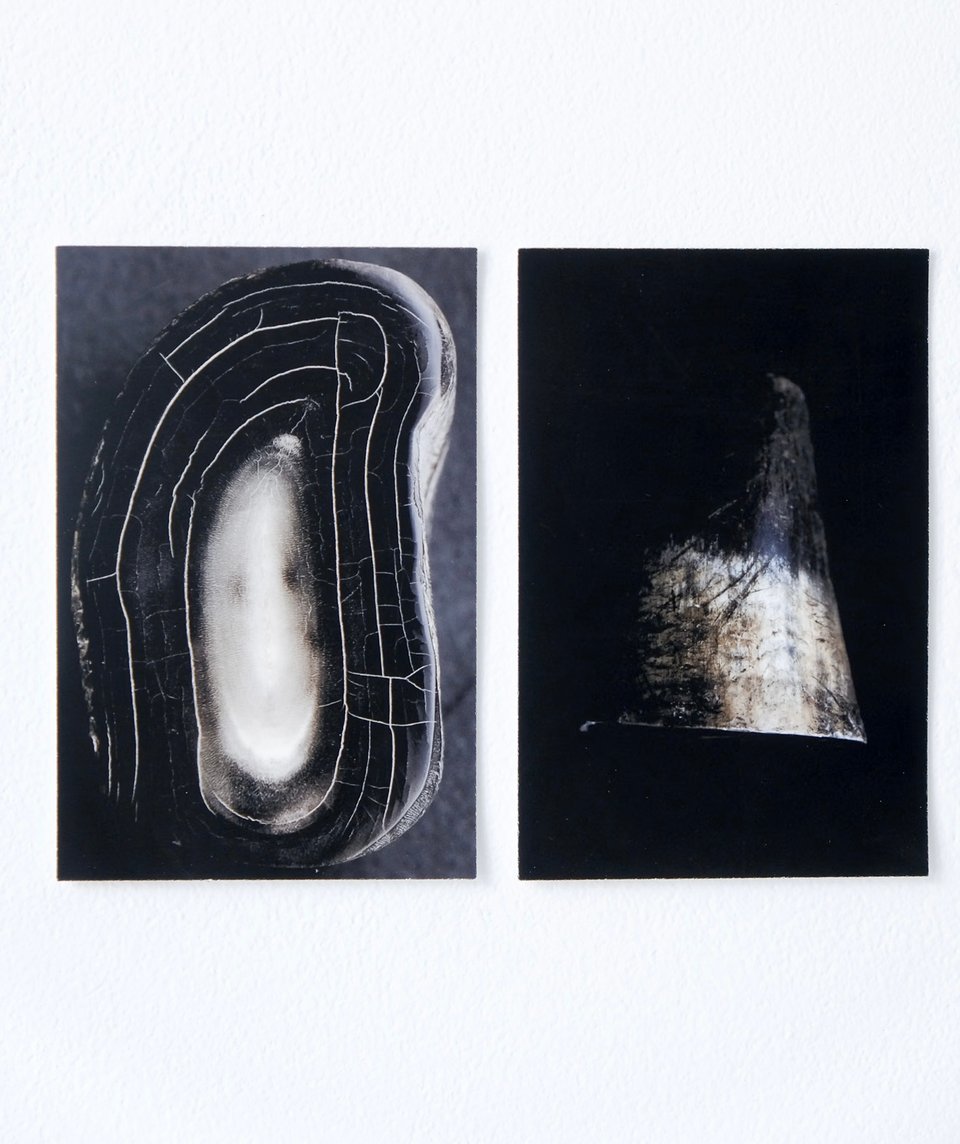 The Emotional Value of Things