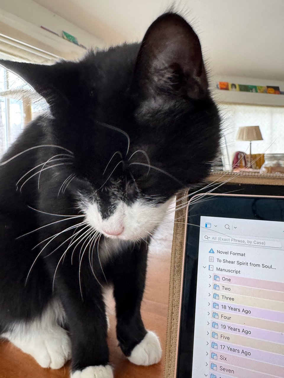 A tuxedo cat scrubbing his chin on my computer case.