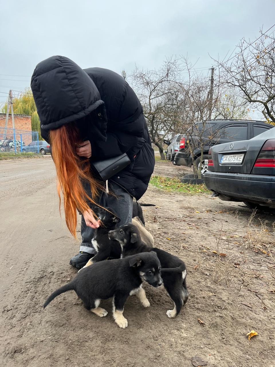 A Ukrainian woman in a black jacket plays with a litter of black and white puppies
