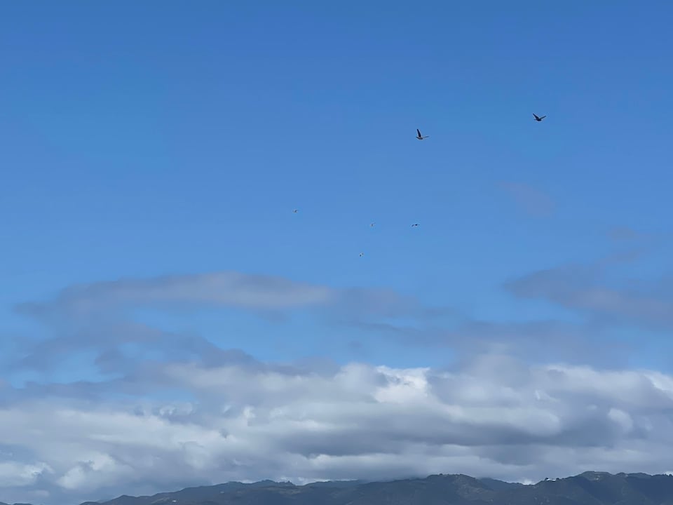 two birds flying in the sky with clouds and mountains in background