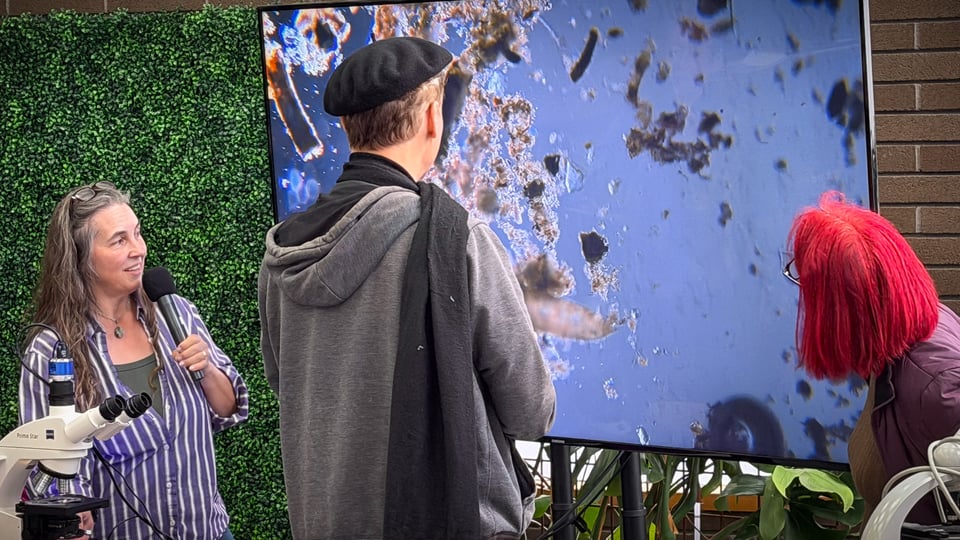 A group of three people observes microscopic images displayed on a large screen.