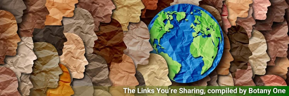A series of paper cut outs of heads in various shades, signifying diversity. Among them is the planet Earth.