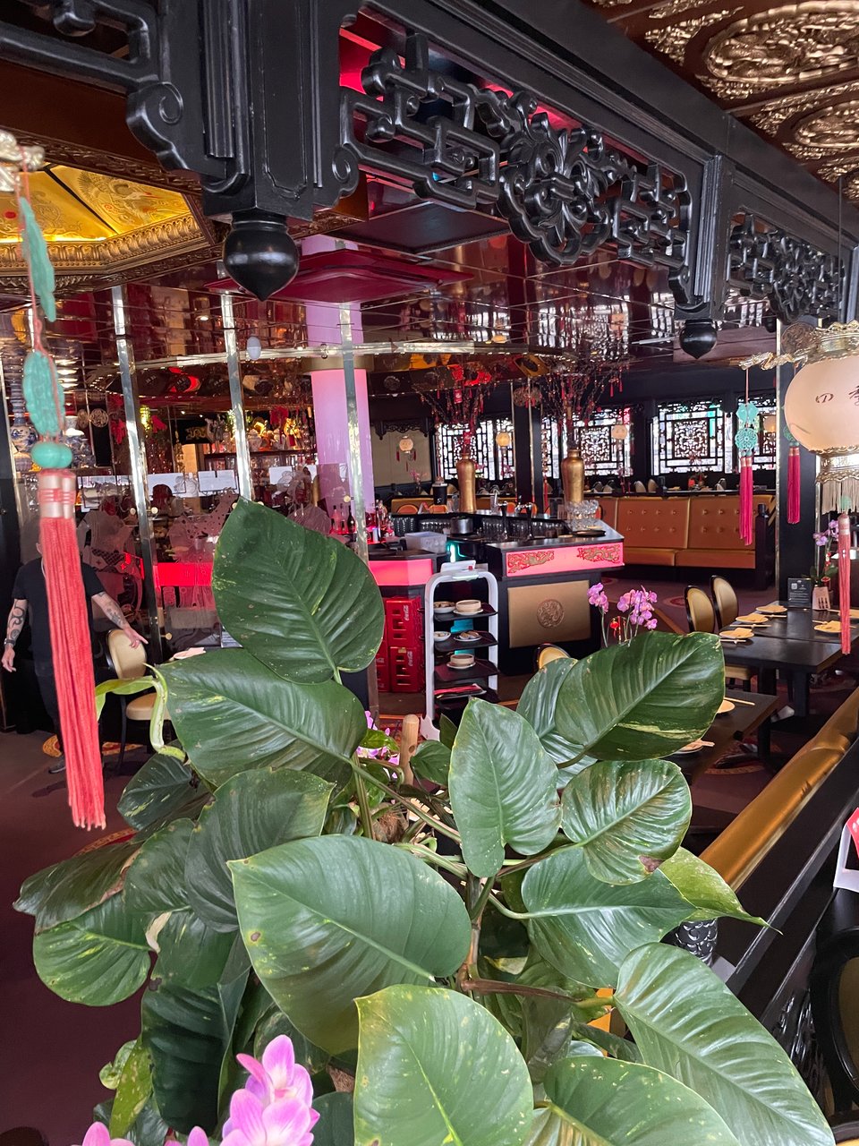 Inside of a Chinese restaurant with a large plant in the foreground.  A robotic tray food carrier is in the background.