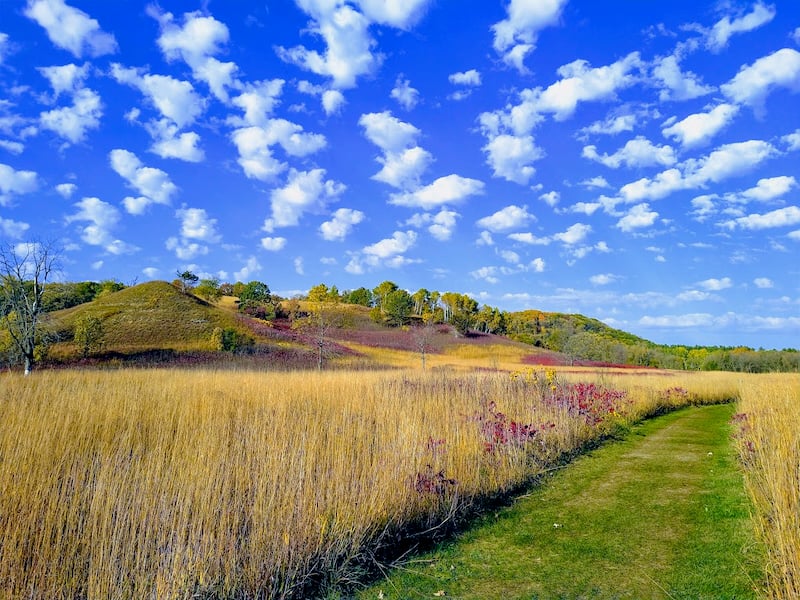 Such a colorful palette there is to be found on a park path in the fall! Here’s the well-loved, well-worn prairie path that runs along the southeast side of Goodhue County Road 2 toward Old Frontenac. / Photo by Jake Gaster