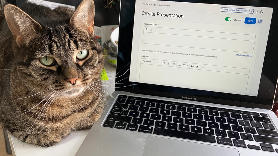 Cat helping to submit a proposal to the virtual symposium.