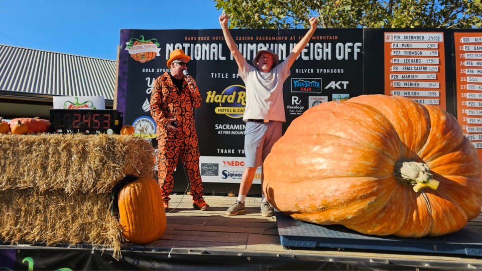 A man stands on a stage triumphantly near his giant pumpkin