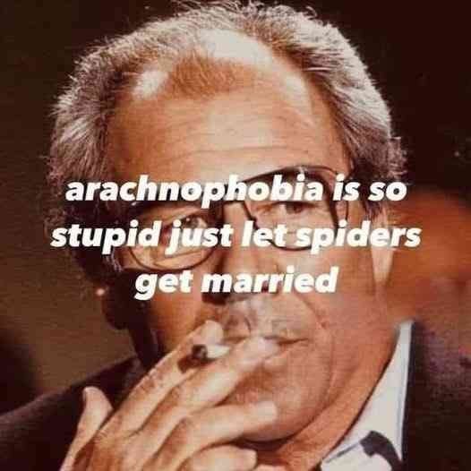 arachnophobia is so stupid just let spiders get married
