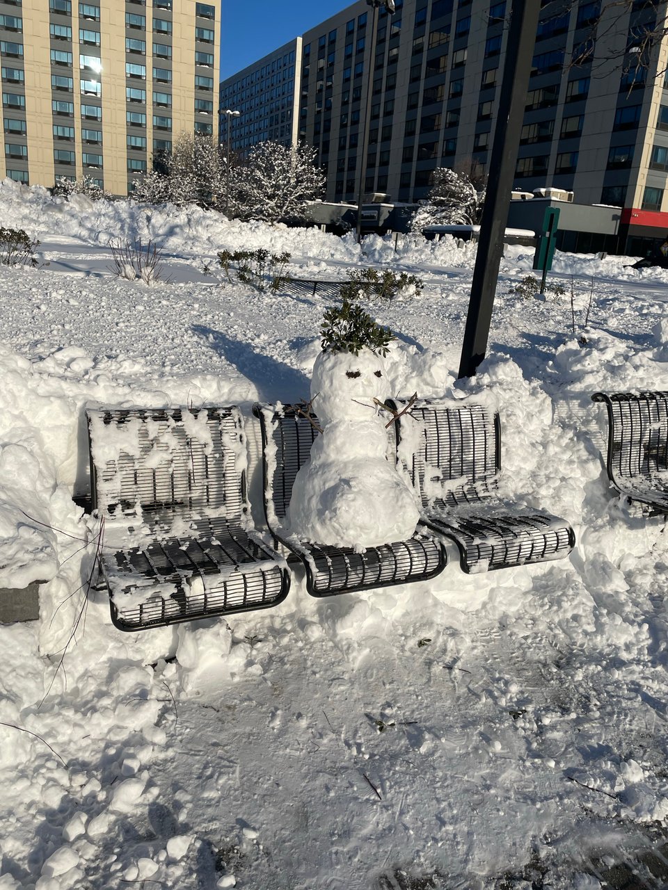 A little snowman on a bunch