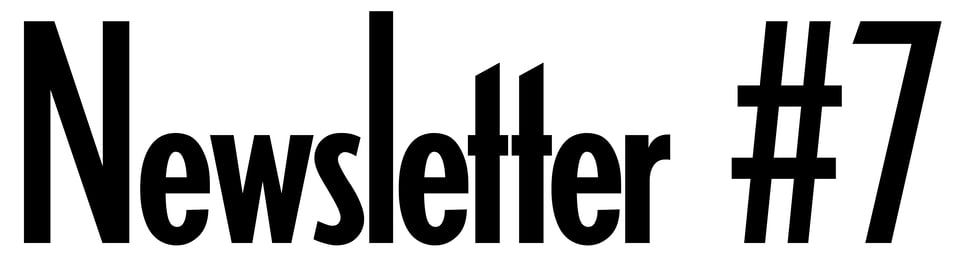 Newsletter #7