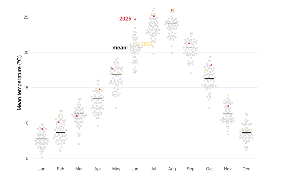 Screenshot 2025-12-18 at 11.40.13.png