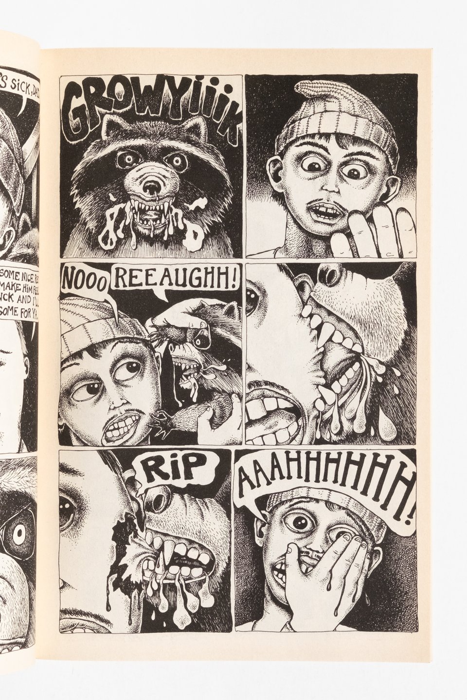 A page from Grit Bath by Renee French. It is a six panel grid of a raccoon attacking a guys face and biting part of it off. Really unsettling stuff.