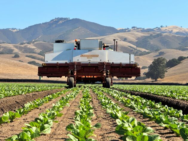 🔥 Hot Takes Tuesday for 2024-10-22