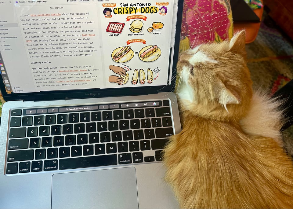 a small orange and white cat snuggled up directly next to the author's laptop
