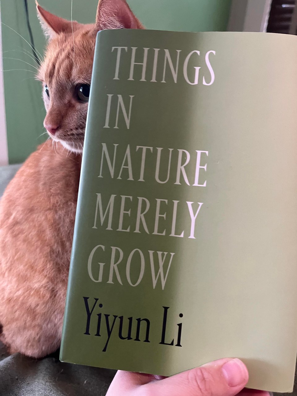 The book "Things In Nature Merely Grow" posed in front of an orange tabby cat.