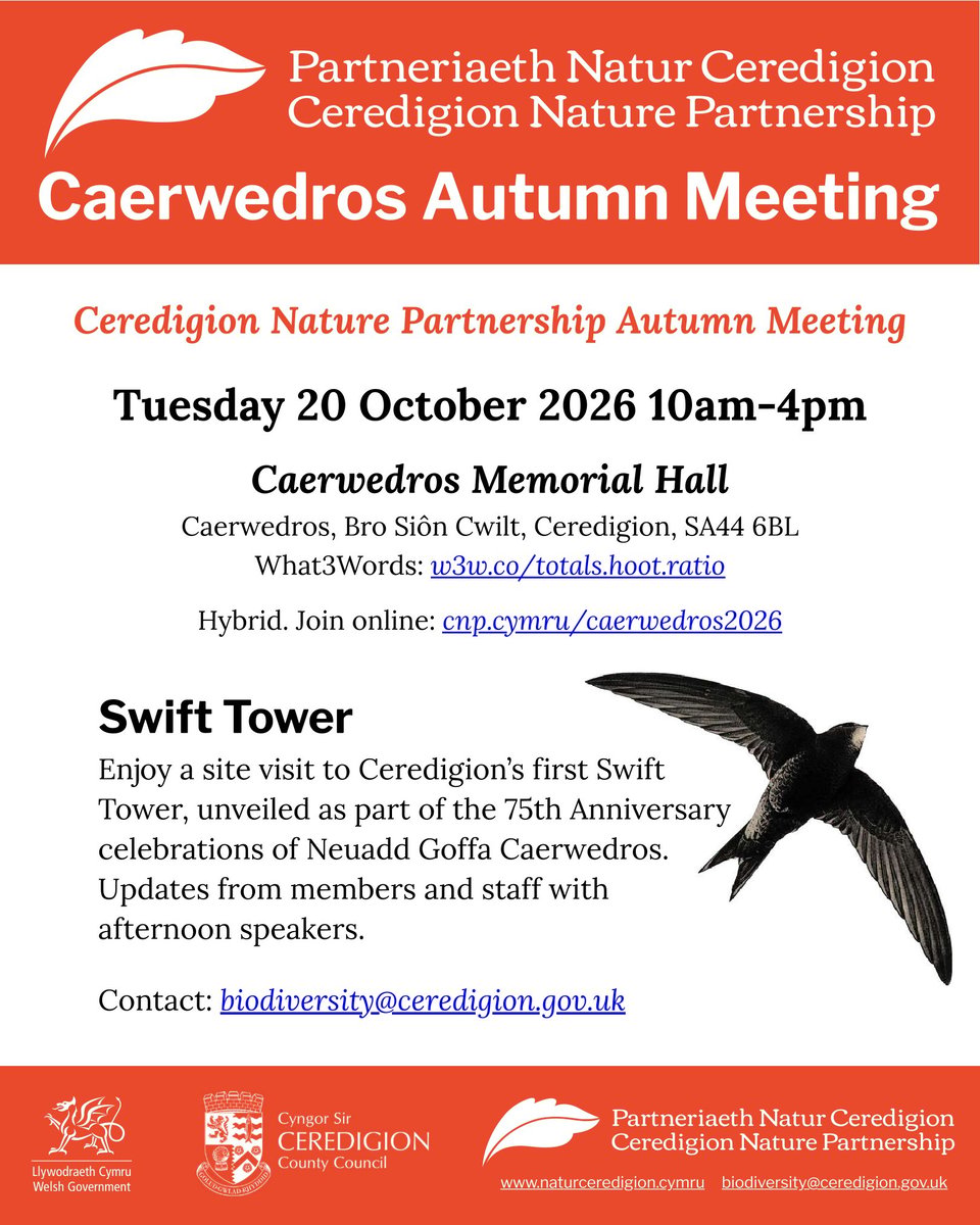 Ceredigion Nature Newsletter 16/10/26