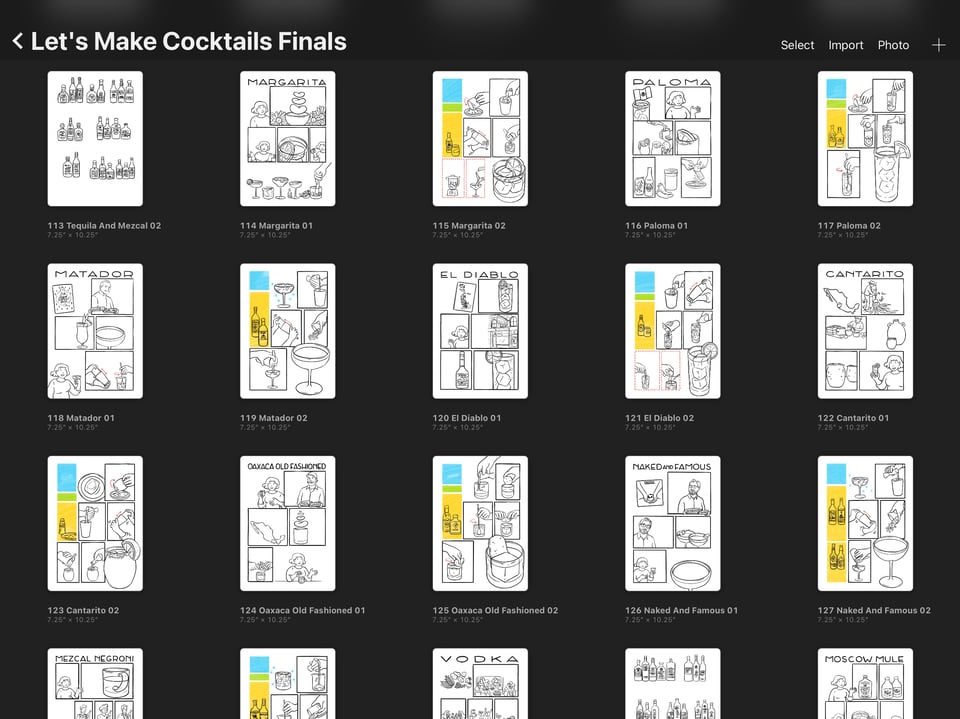 a screengrab from Procreate showing about 20 pages pencilled