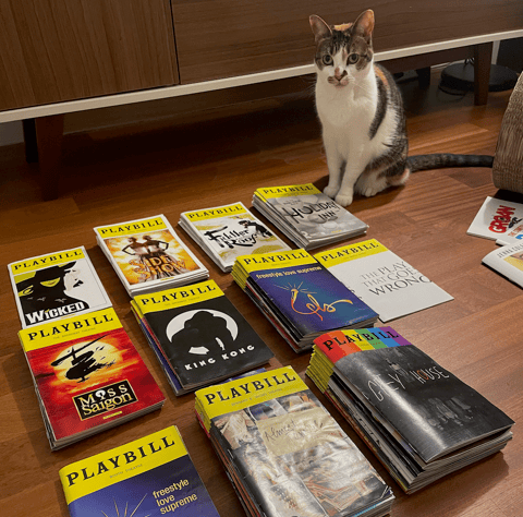 How to watch Broadway affordably