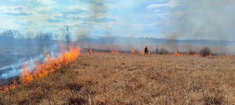 A prescribed burn underway in a prairie area. Ranger Jake Gaster will guide a walk through a burn area to talk about post-burn ecology on April 27 (see details above). Bring us your burning questions! / Photo by Jake Gaster