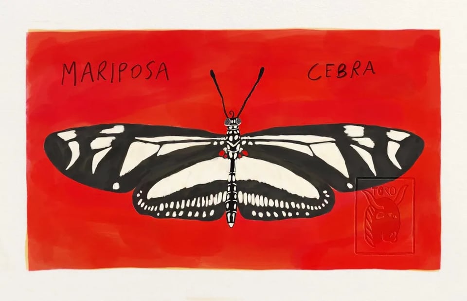 Illustration of a black and white Zebra Longwing butterfly on a red background with handwritten text "mariposa cebra"