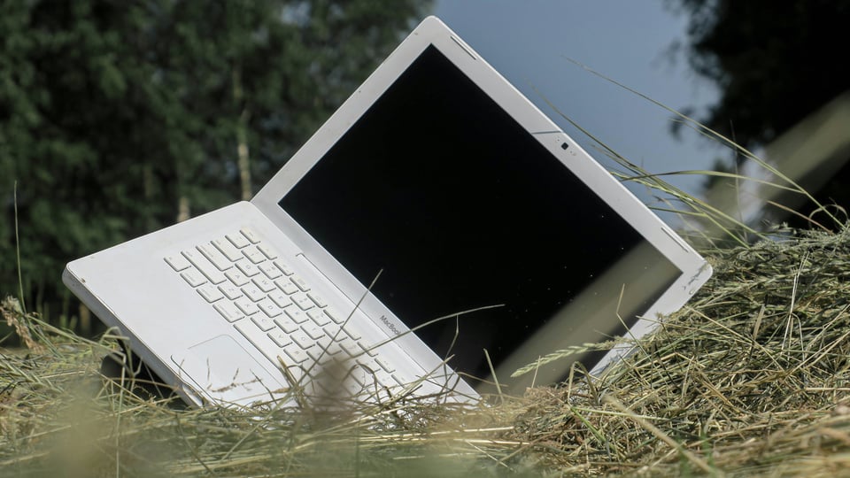 image of old mac in the long grass, resting, forever