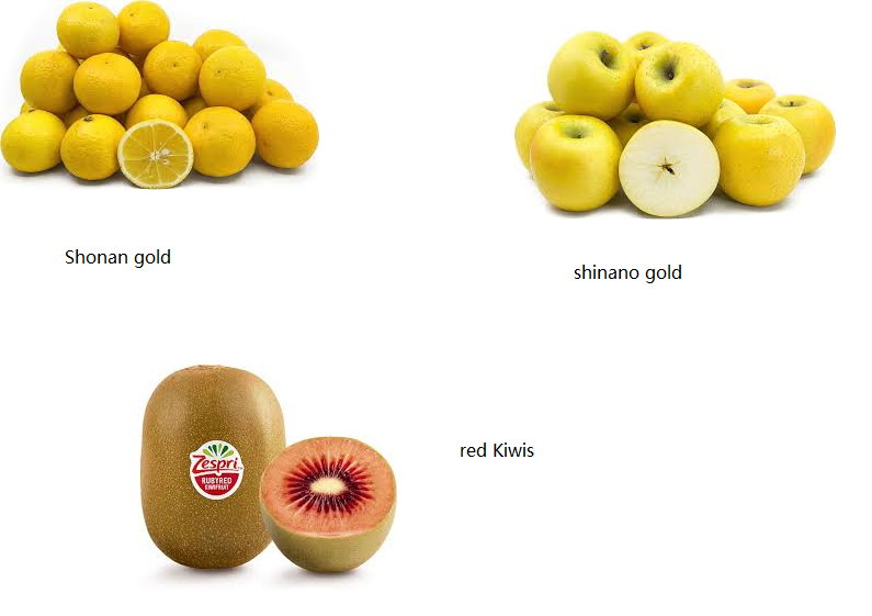 photo of fruit: Shonan gold (a yellow colored orange), shinano gold (a yellow apple, and red kiwis
