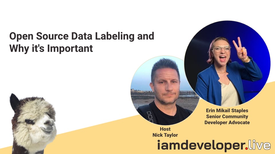 Highlight: Open Source Data Labeling and Why it's Important with Erin Mikail Staples