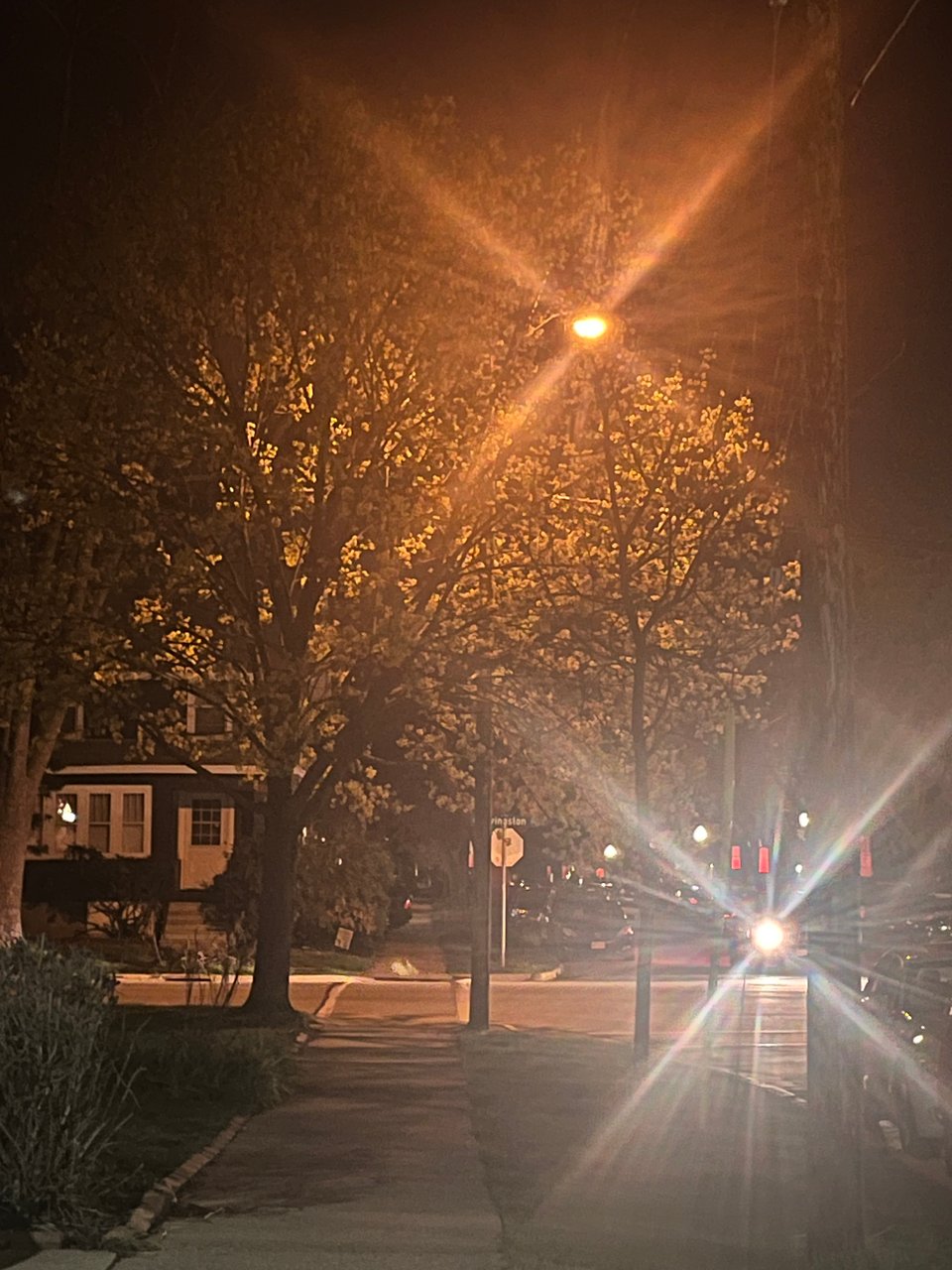 glowing street light and headlight casting rays through a yellow-leaf tree in the dark on a street corner