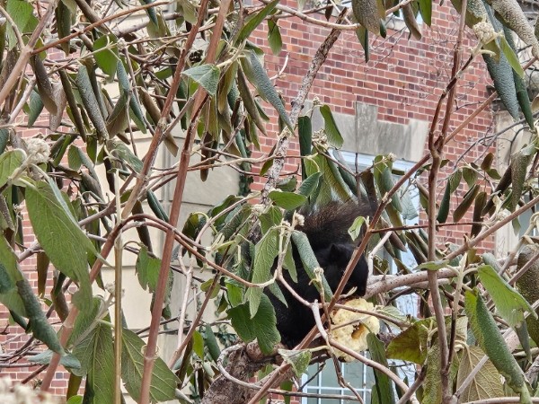 The Weekly, January 13, 2025 