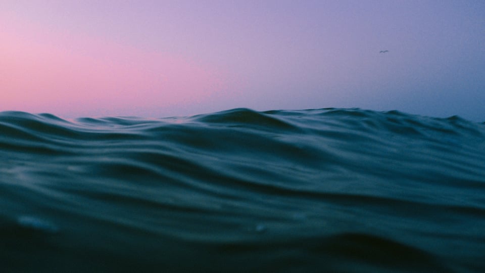 the ocean at dawn
