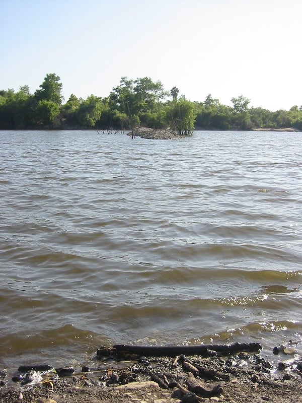 A photo of the tiniest islet in the middle of a softly choppy lake, the tops of trees jutting up from the water around it. A treeline marks the far side of the lake, beyond the islet, and the edge of the muddy driftwood bank shows at the bottom of the image.