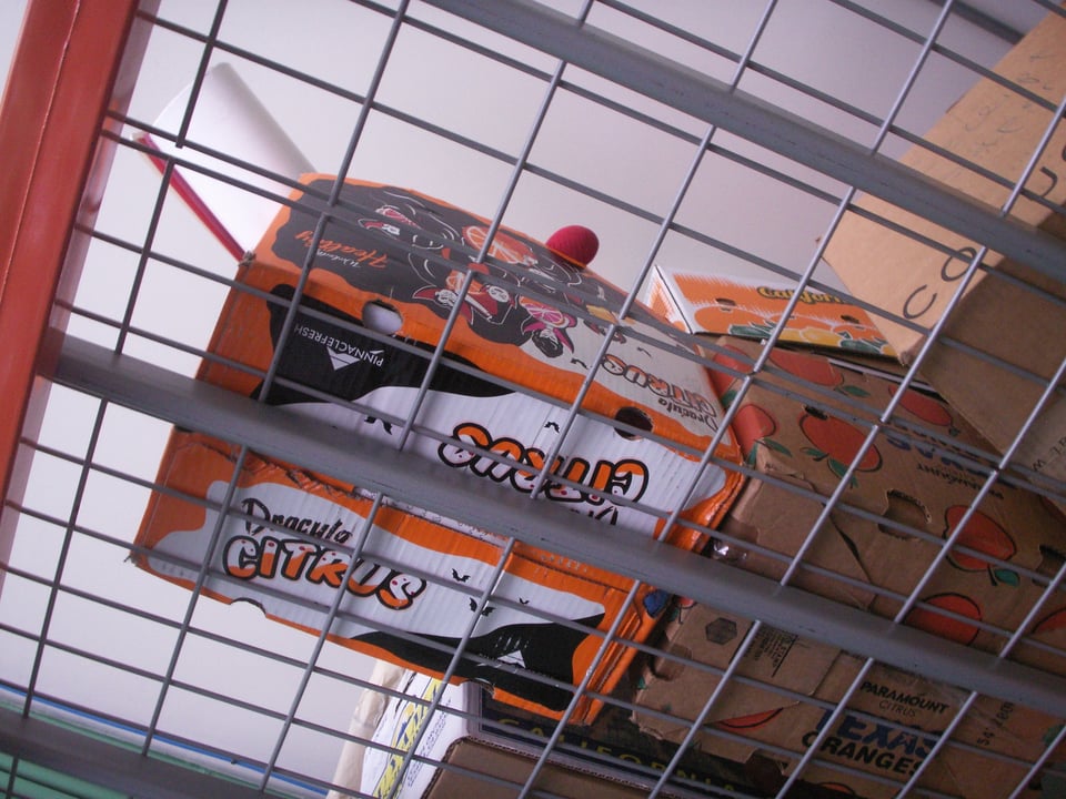 A photograph of citrus crates shot from below.
