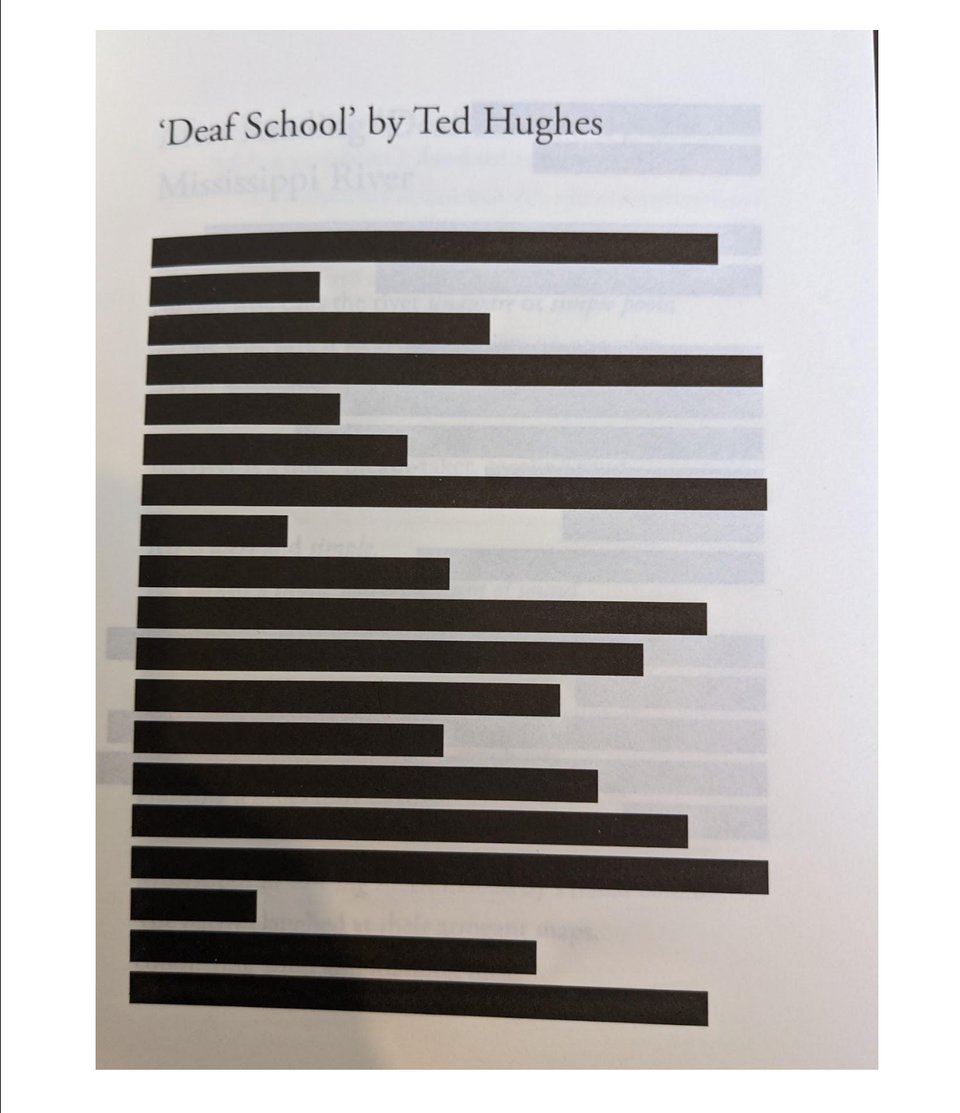 the poem Deaf School by Ted Hughes, but every line has been redacted
