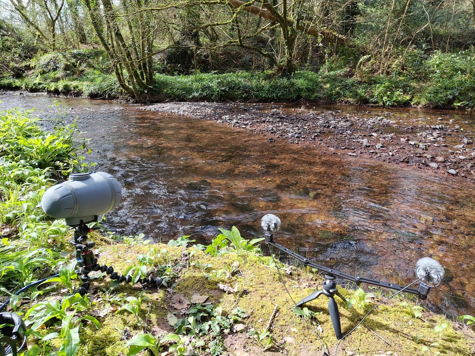 Two microphones next to a river in the woods.