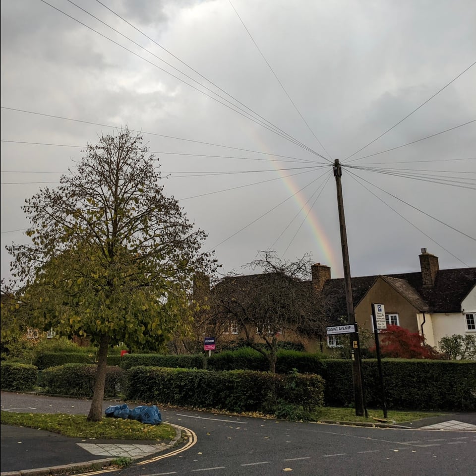 a photo of a street with hedges and georgian houses with some rubbish bags beneath a tree. Several wires sprawl out from a telephone pole with a half rainbow and grey sky behind them.