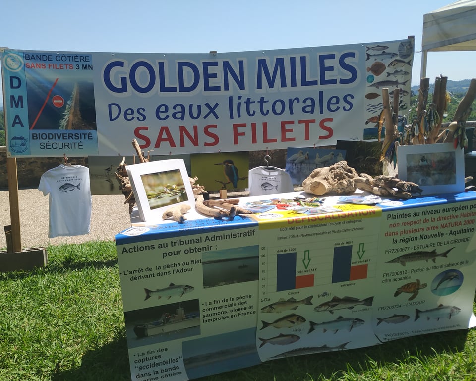 Stand de Défense des Milieux Aquatiques à la fête du gave, Sauveterre-de-Béarn, 24 juin 2023