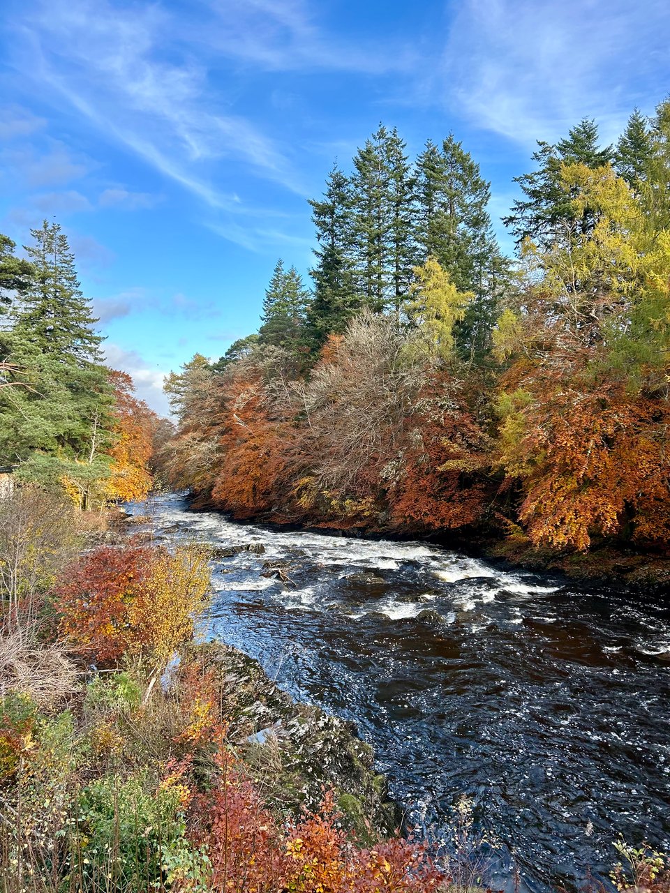 Autumn trees in many colours of greens, yellows, oranges and browns line the banks of the River Dochart in Killin, Perthshire. The sky is blue overhead, with a few wispy white clouds.