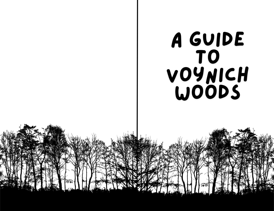 Single braincell summer