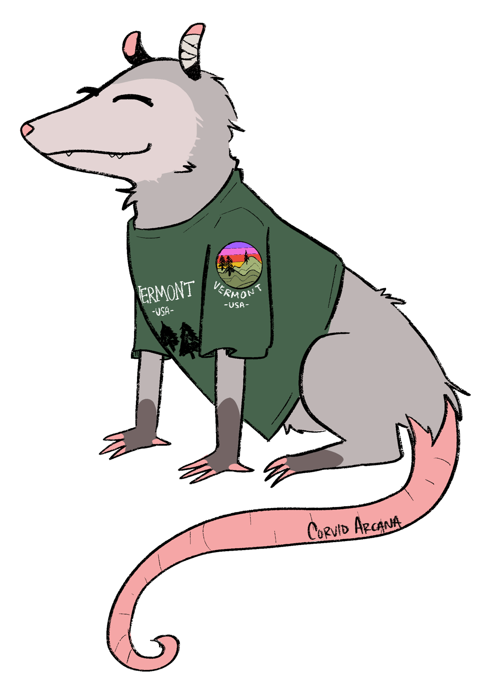 A possum with a bandaged ear wearing a green Vermont tourist tshirt that has a little mountain and trees logo on the arm.