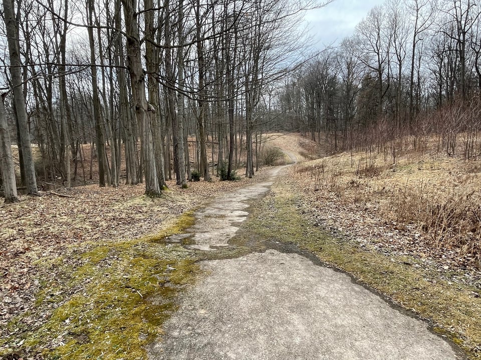 A barely paved path that disappears down a hill and out of sight. It is surrounded by trees.