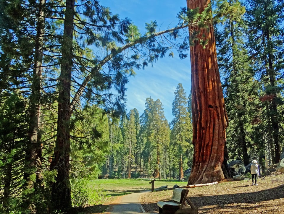 Round Meadow in Sequoia National Park