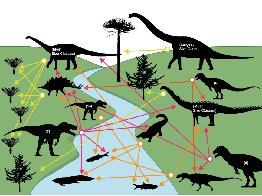 Baby Longnecks Were Jurassic Popcorn