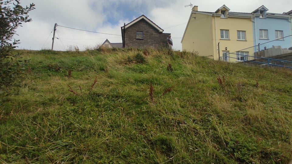 Scruffy looking under-exposed photo of grass on a slope underneath a toilet block!