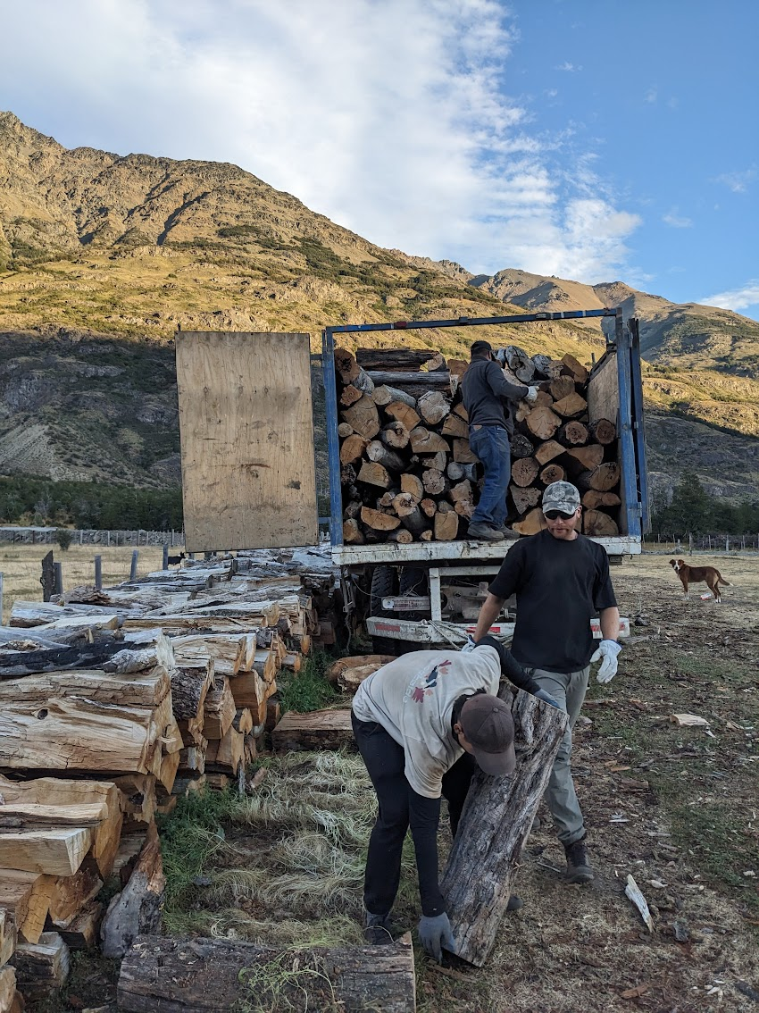 Logs. 11 tonnes of them