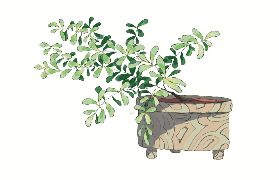 An illustration of a light green plant in a stone-carved pot