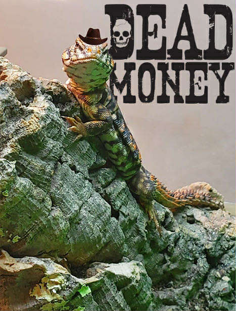 Pet uromastyx lizard wearing a wee tiny cowboy hat under the logo for DEAD MONEY