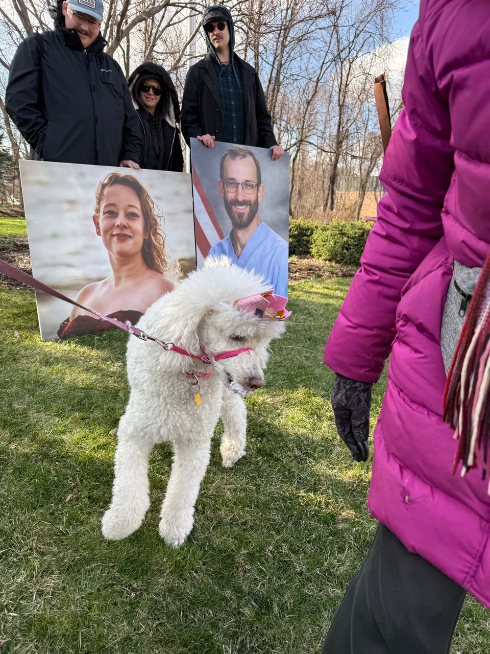 photo of Bella, a while poodle wearing a pink crown. In the background a pair of people, are holding posters of Renée Good and Alex Pretti.