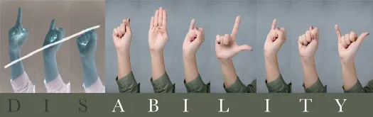 sign language spelling of disability with the DIS cancelled and the ABILITY boldly reflected