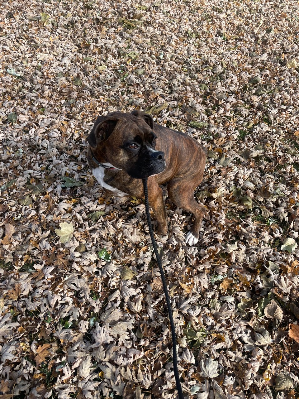 I'm Back! Where have I been?