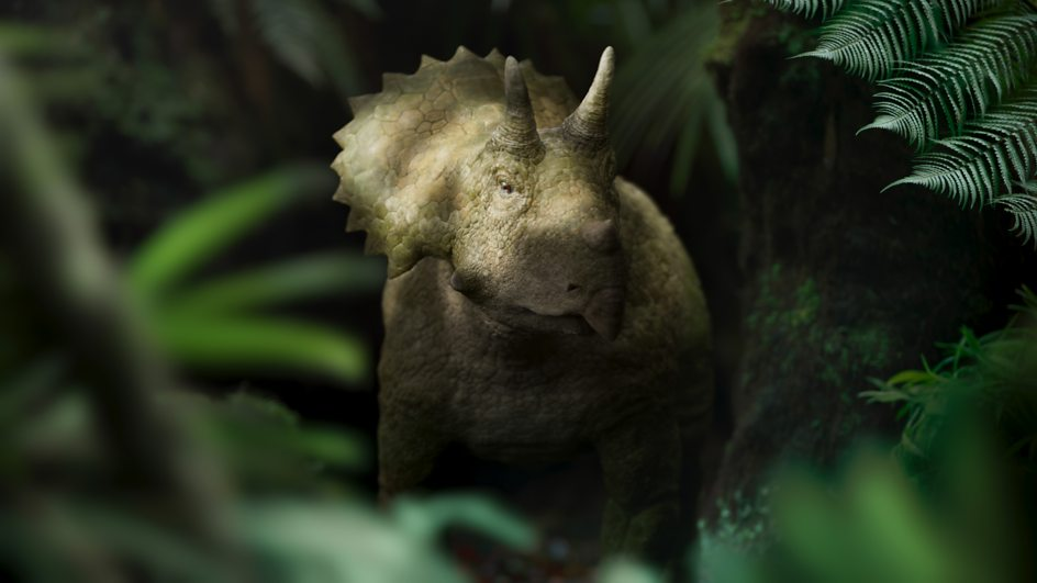 Still image of the baby Triceratops "Clover" in a prehistoric forest, hiding in sun-dappled undergrowth.